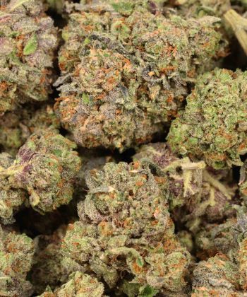 Tom Ford Death Bubba wholesale