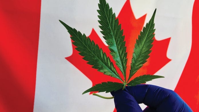 Canada’s Medical Marijuana