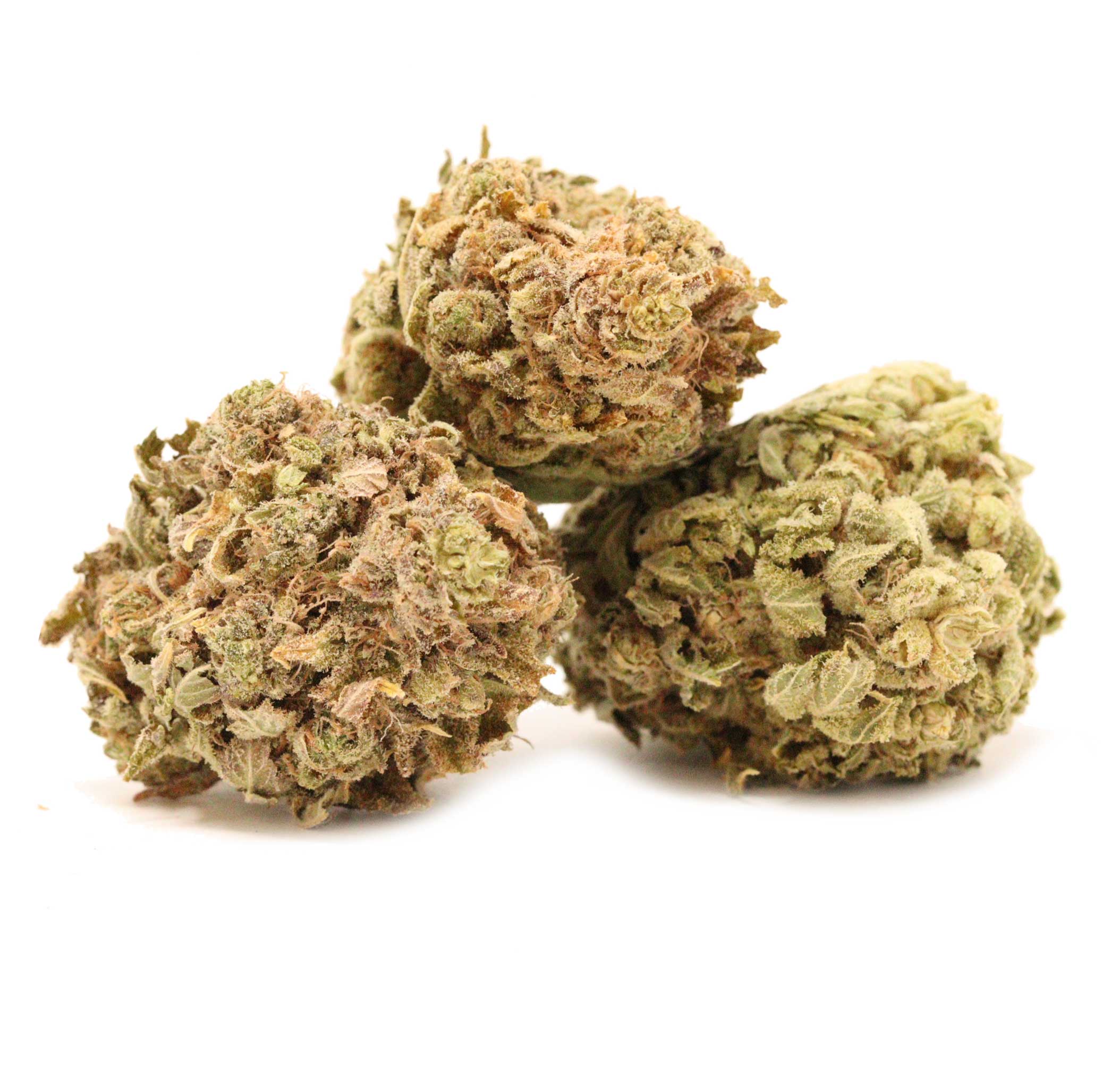 Lemon Tree Online Dispensary Canada Bulk Buddy Buy Cannabis