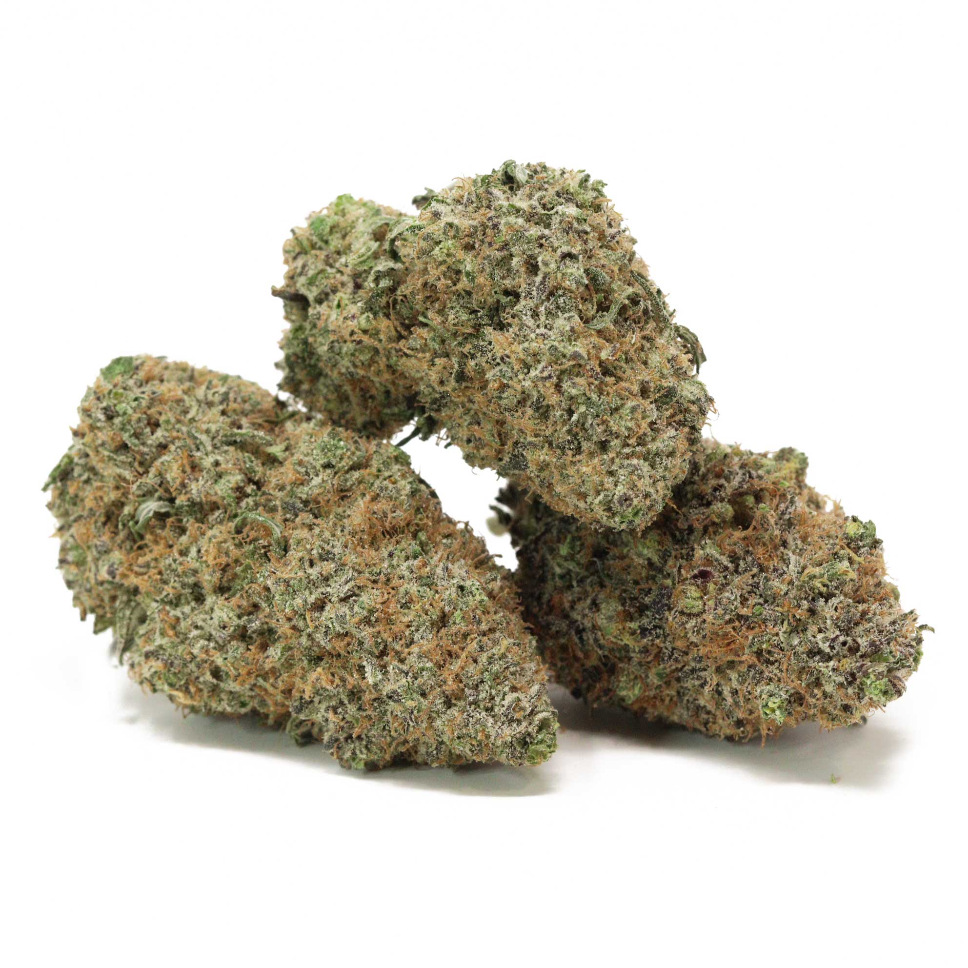 Chocolate Thunder Sativa Weed Bulk Buddy Buy Weed Online Canada