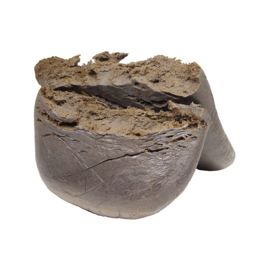 Phoenix Hash wholesale