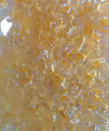 Cotton Candy Shatter wholesale
