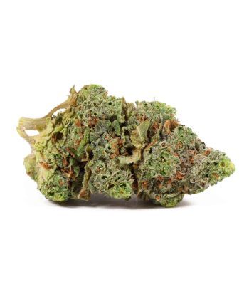 Gorilla Candy weed