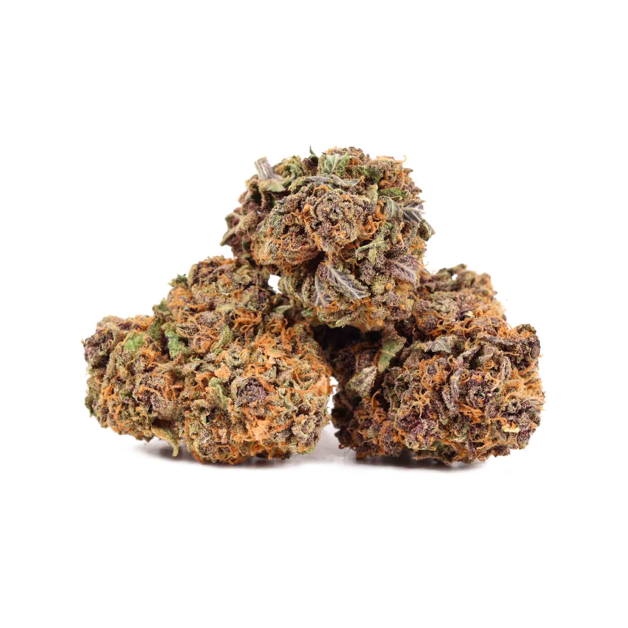 Fruit Loops Wholesale Cannabis Bulk Buddy Buy Weed Online Canada