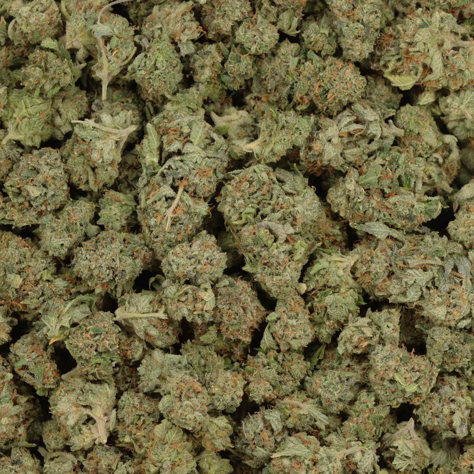 Buy Purple Cotton Candy Strain Bulk Buddy Store 1 Online Dispensary
