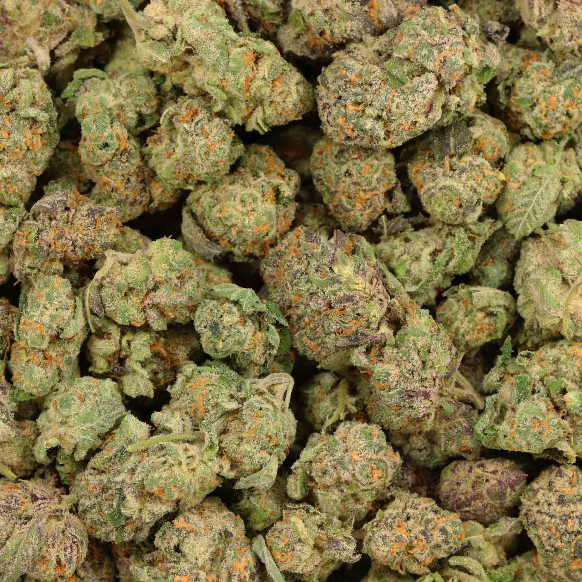 Buy Gas Station Weed Strain Bulk Buddy's Online Dispensary Canada