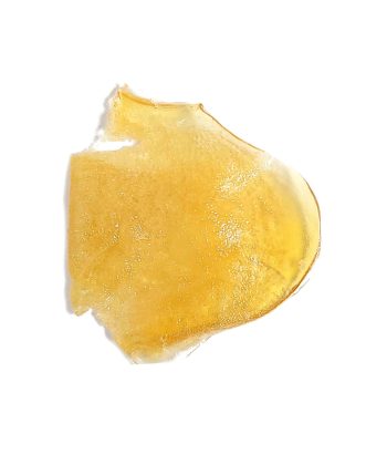Moby Dick Shatter