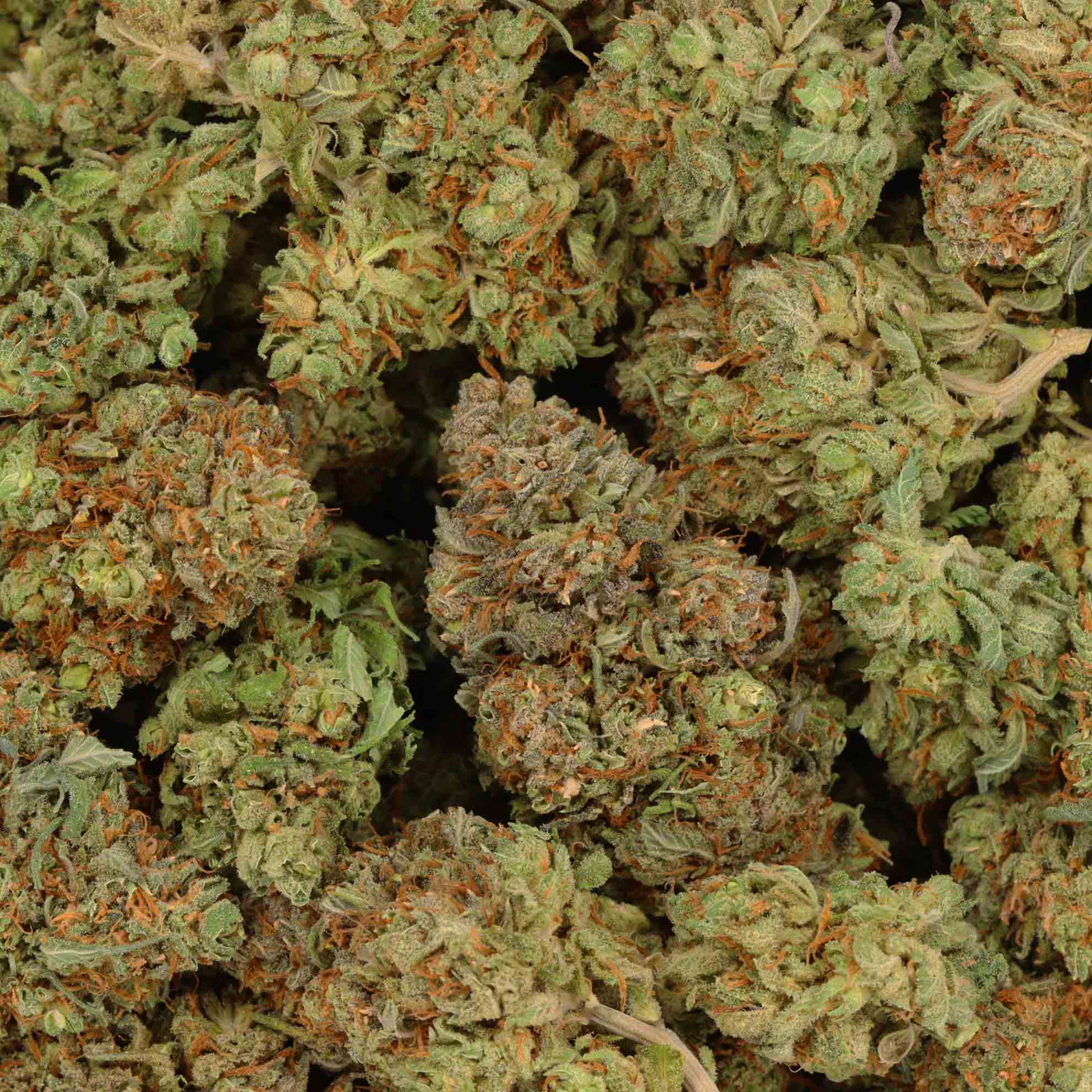 Pineapple Nuken Hybrid Online Dispensary Bulk Buddy Weed