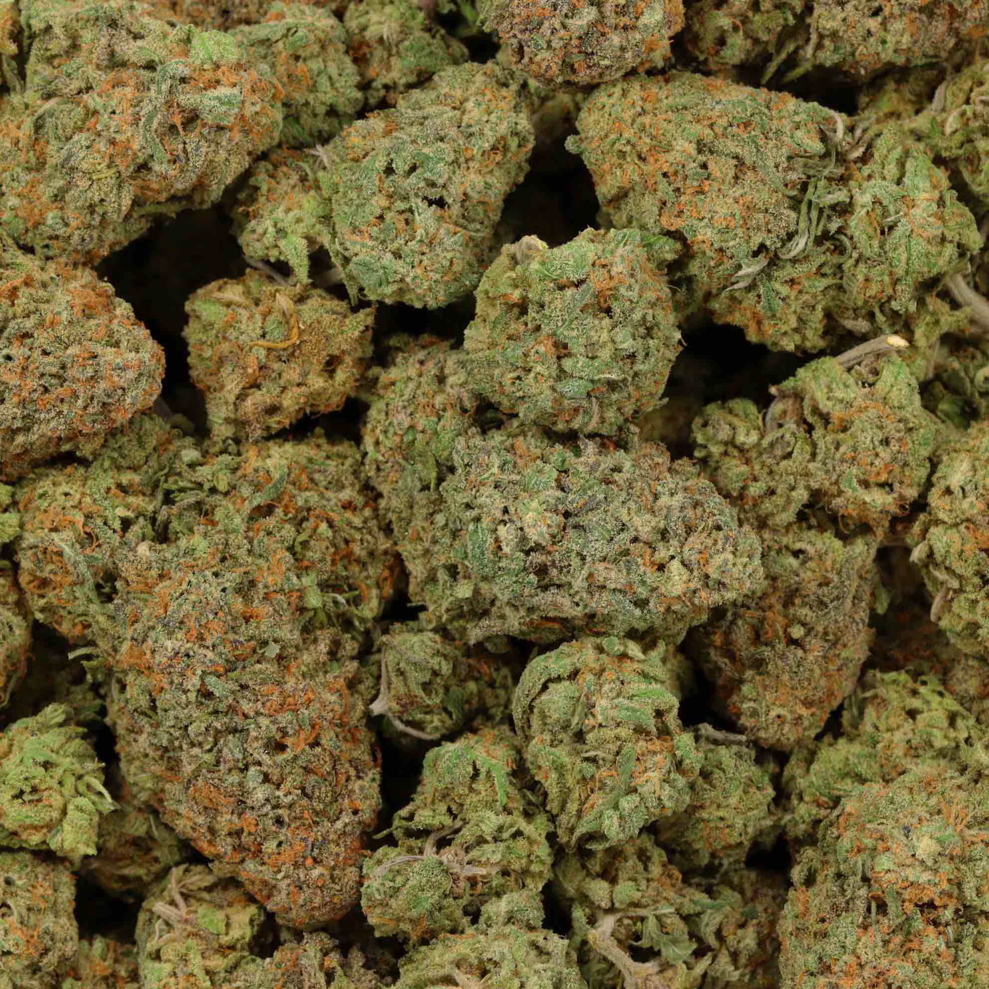 Strawberry & Cream Hybrid Strain Bulk Buddy Wholesale Bud