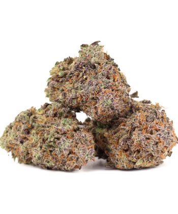 Ayahuasca Purple strain