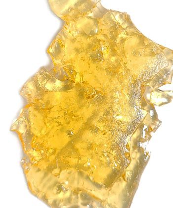 Animal Face Shatter wholesale