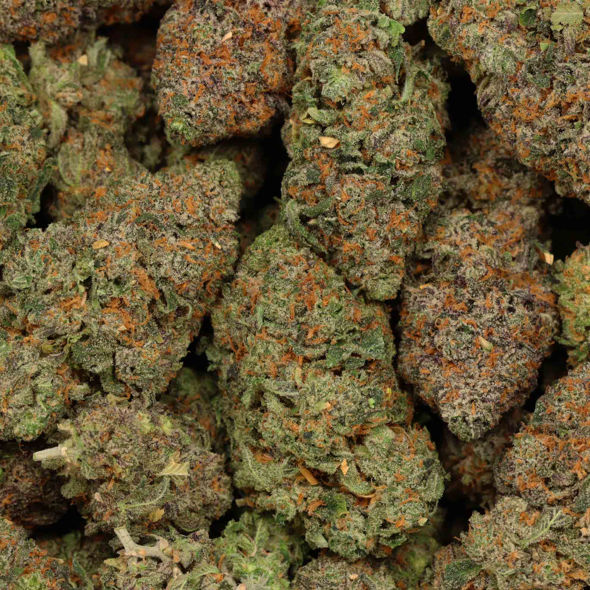 Buy Jet Fuel Bulk Buddy 1 Online Dispensary Wholesale Weed