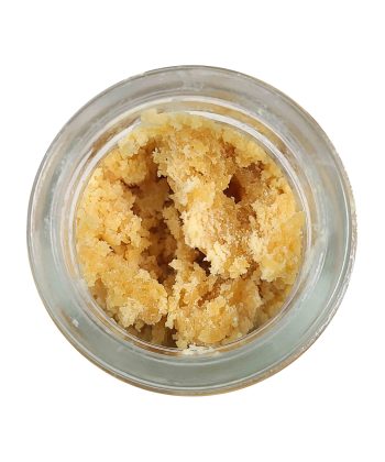 Lap Dance Budder wholesale buying in canada