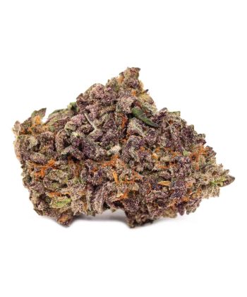 Purple Punch AAAA+ weed