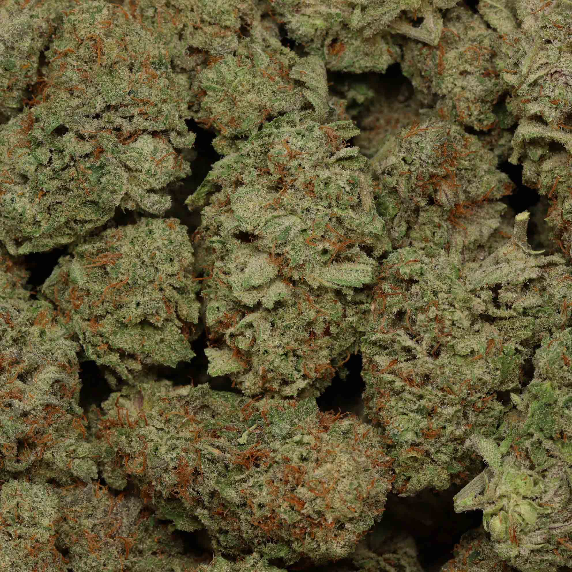 Tropicana Jet Fuel Bulk Buddy Weed Online Dispensary Canada