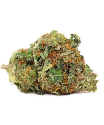 canada Death Candy Indica weed