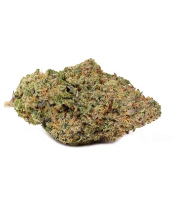Critical Mass Indica weed