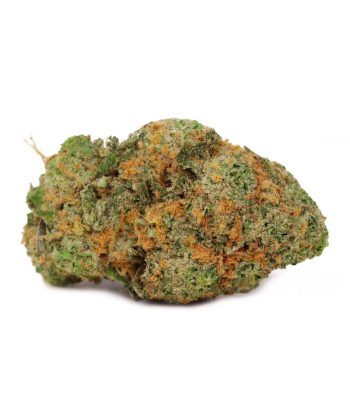 OMFG Hybrid Cannabis weed
