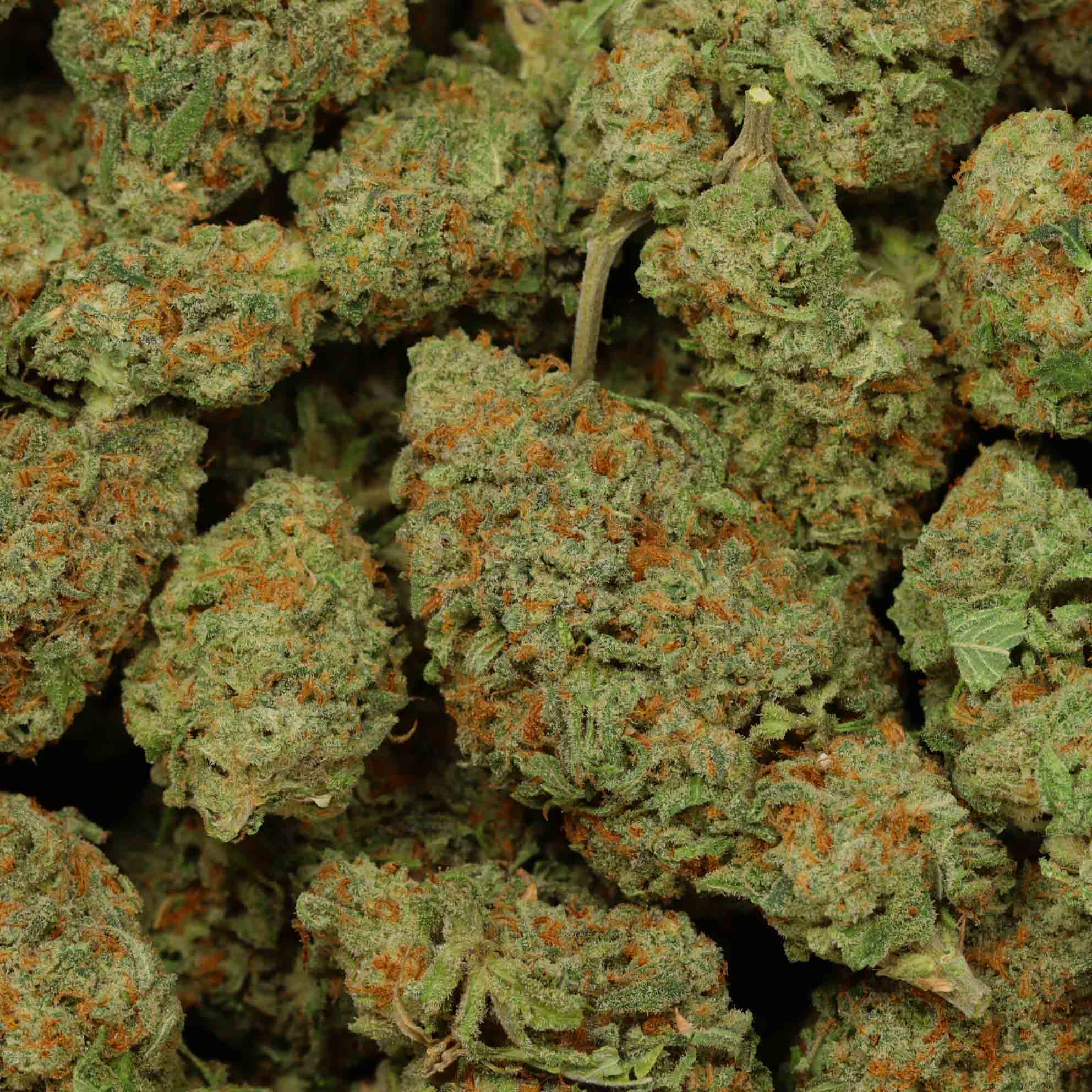 Pineapple Nuken Hybrid Online Dispensary Bulk Buddy Weed