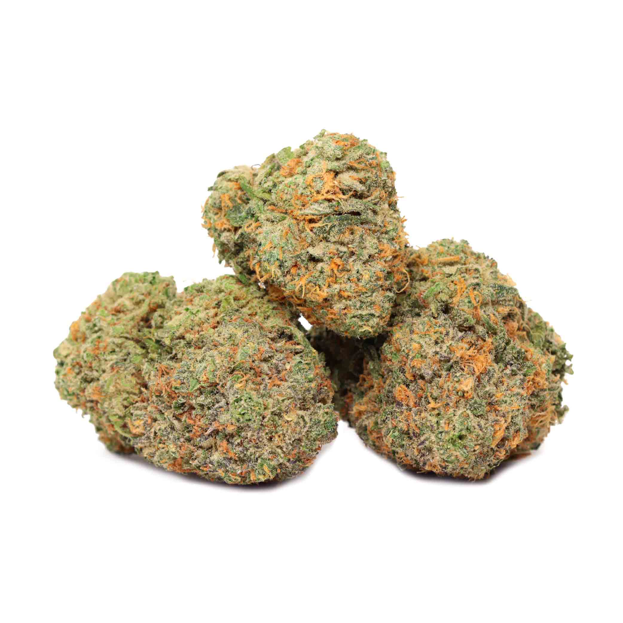 Rocket Fuel Buy Weed Online Bulk Buddy Wholesale Weed