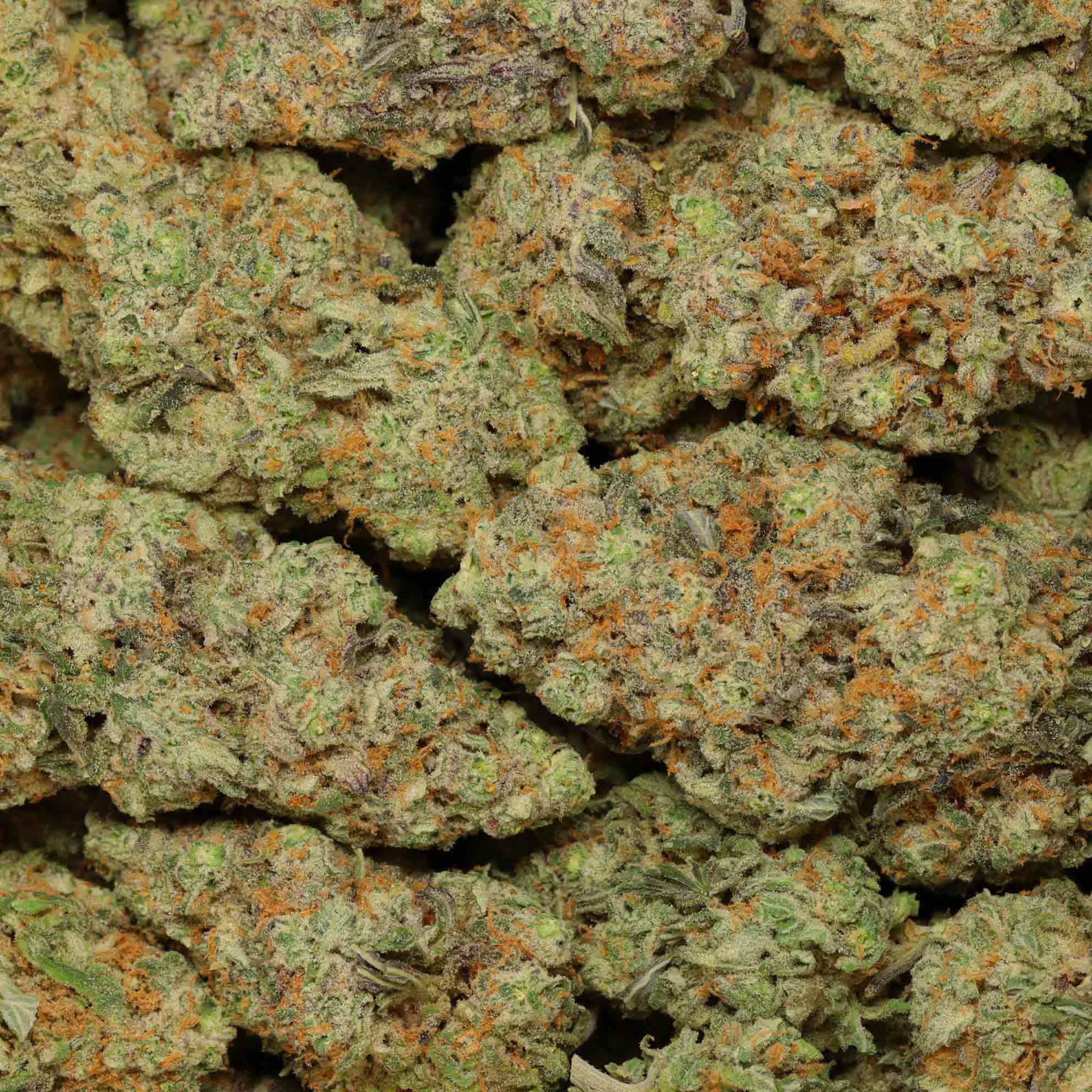 Compound Z Craft AAAA+ Buy Weed Online Canada Bulk Buddy