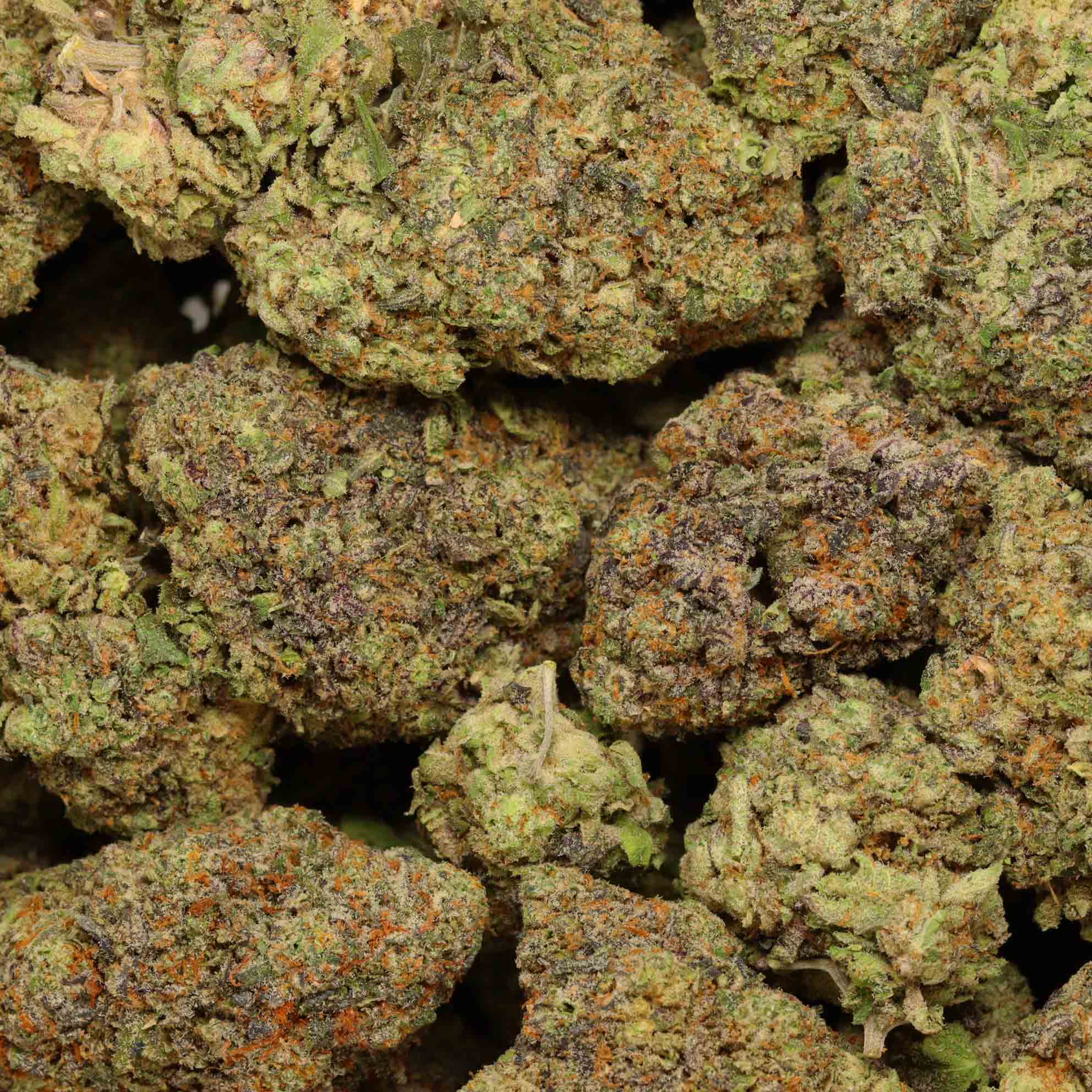 Purple Octane Online Dispensary Canada Bulk Buddy Cannabis