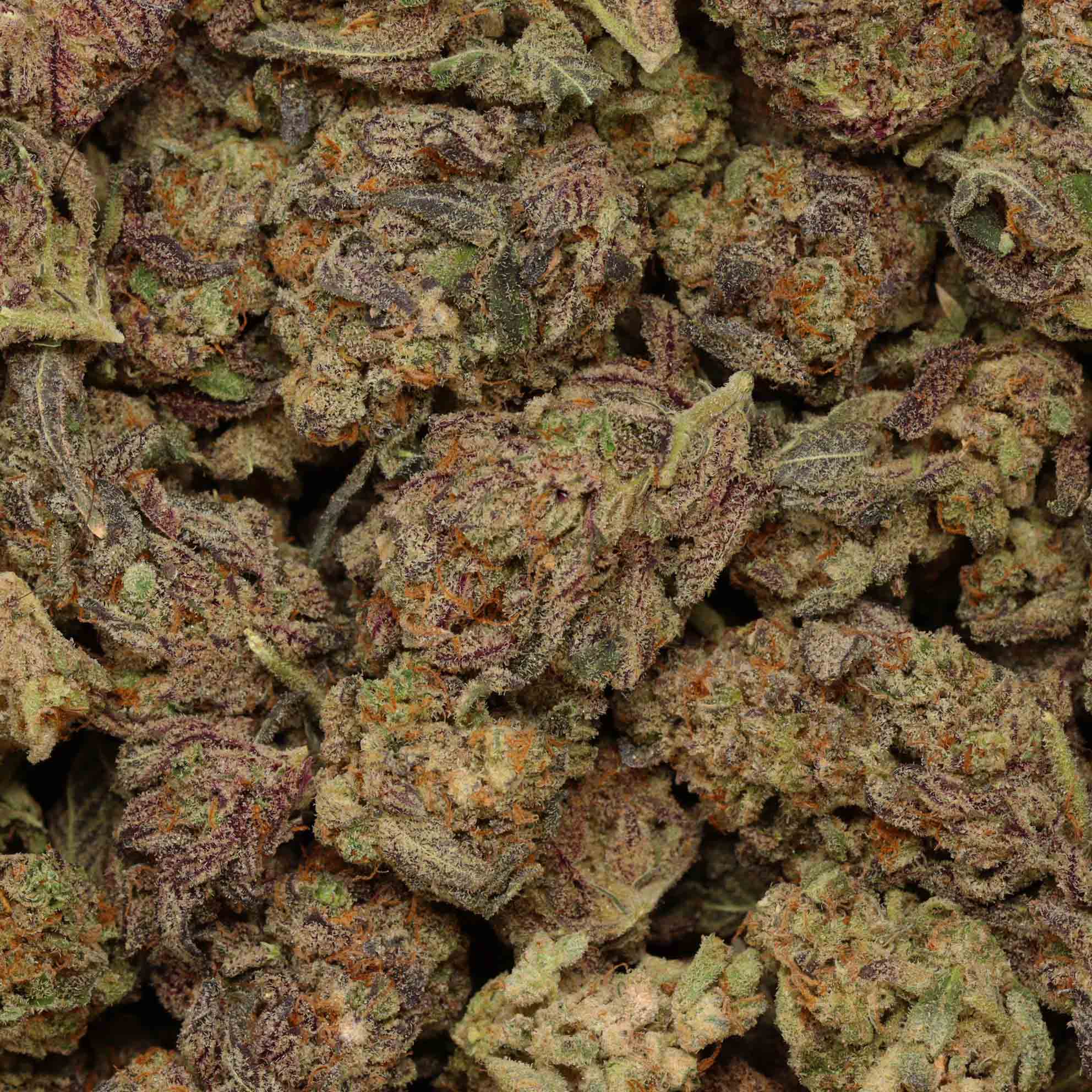 Pink Runtz Buy Weed At Bulk Buddy Online Dispensary Canada