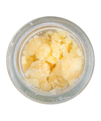 Amnesia Budder wholesale