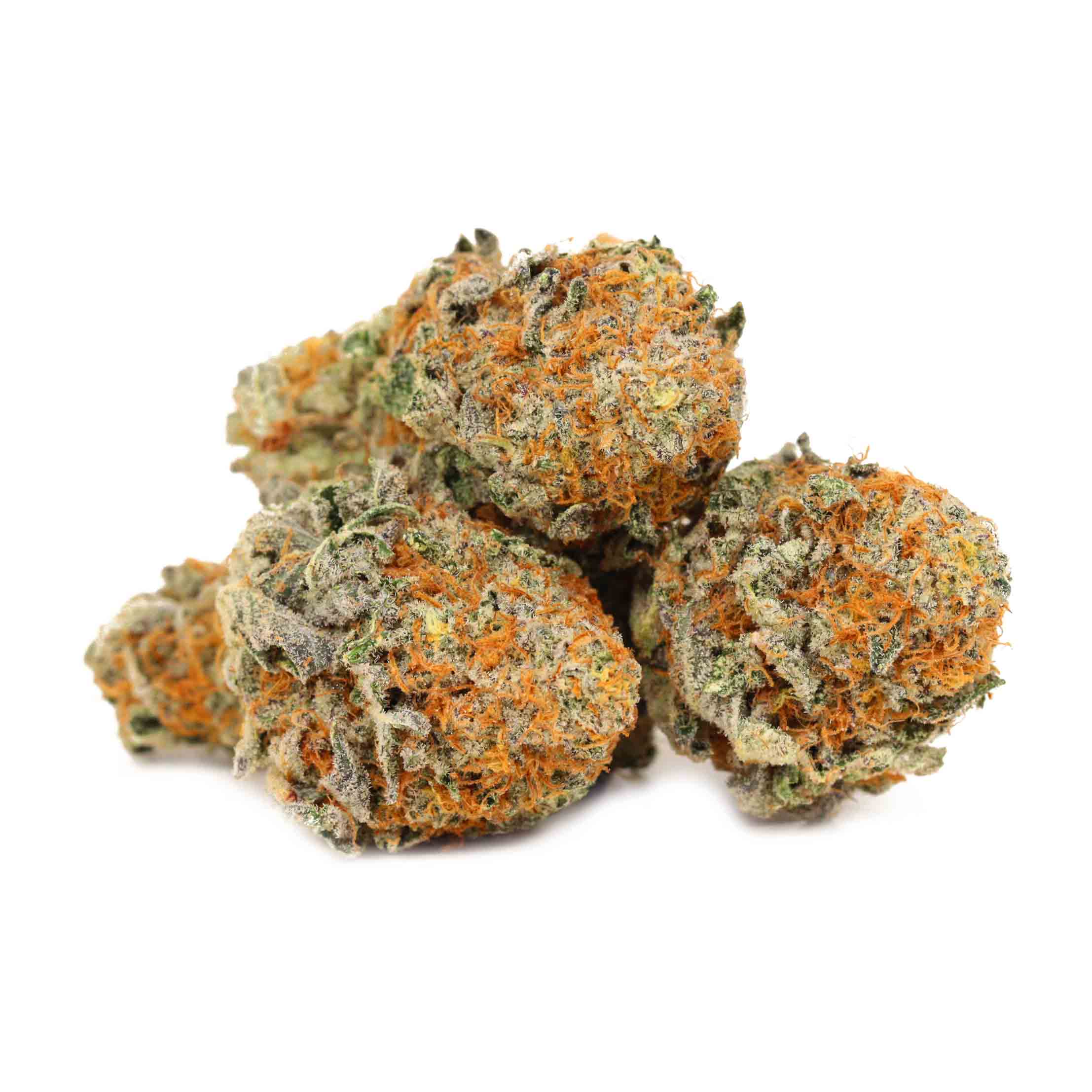 Electric Punch Hybrid Cannabis Canada Bulk Buddy Wholesale