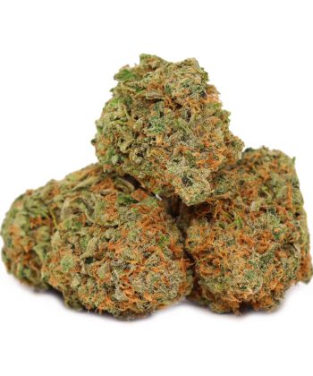 Quantum Kush Sativa Craft strain