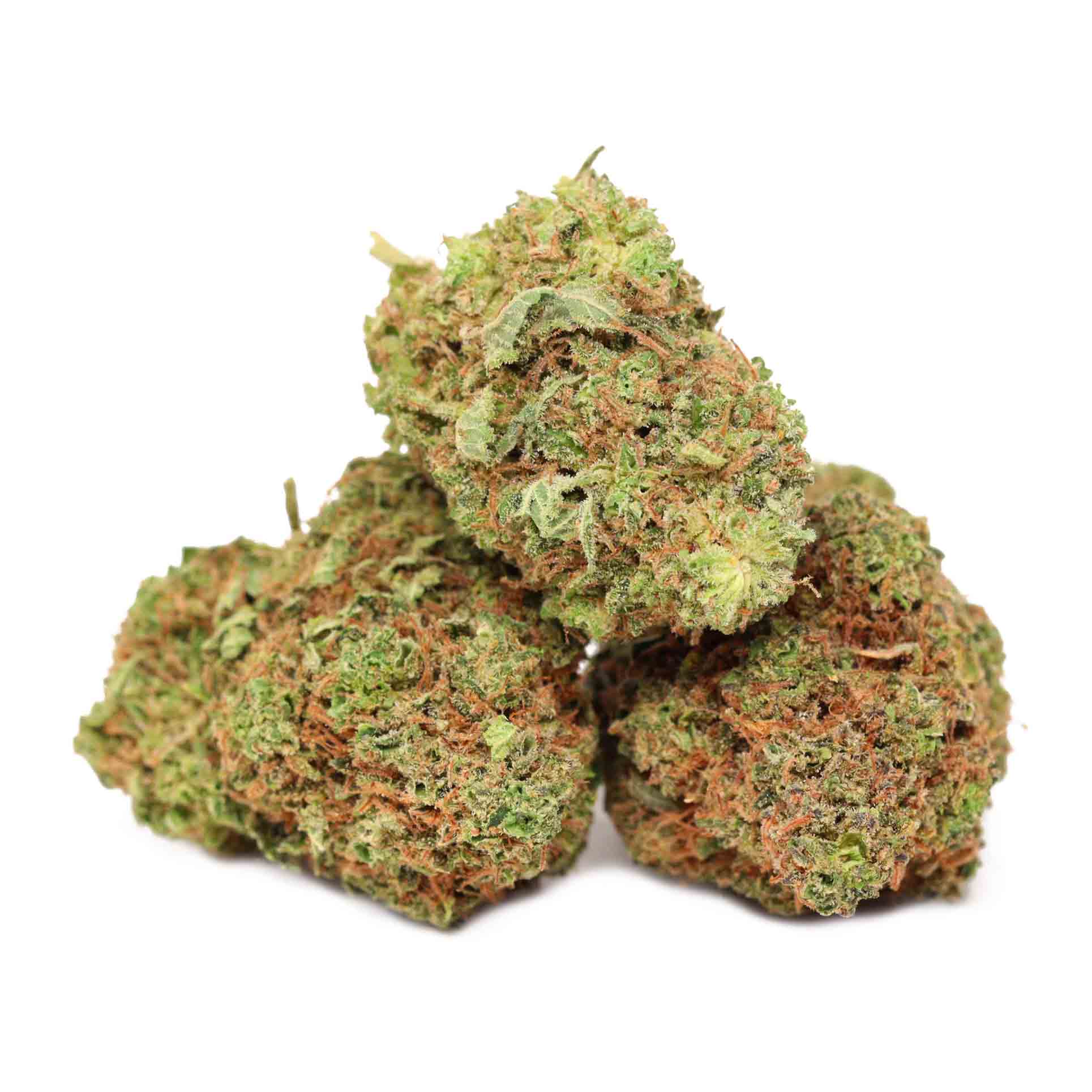 Buy Scooby Snacks Bulk Buddy Dispensary Order Weed Online