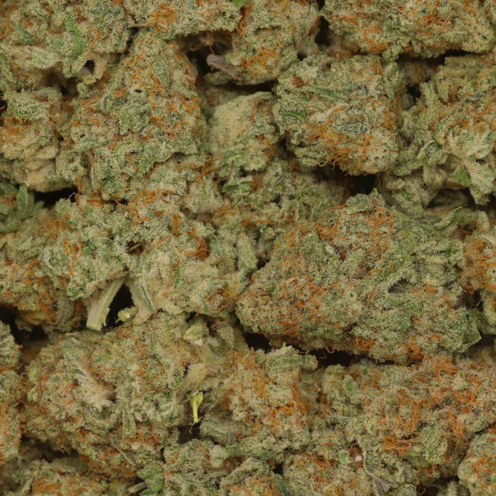 Buy Mac Daddy Buy Weed Online Bulk Buddy Wholesale Weed