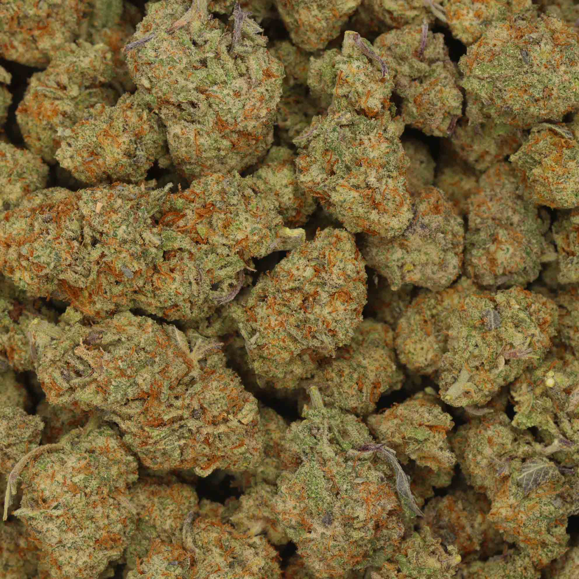 Mac n Jack Dispensary Canada Bulk Buddy Order Weed Online