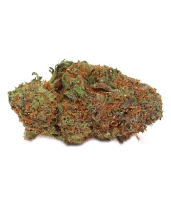 Sunset Sherbet Indica weed