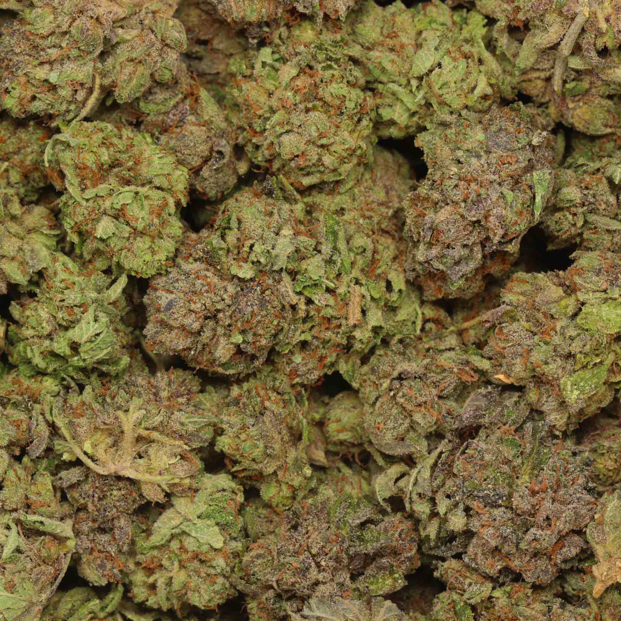 Pink Taffy by Wca  West Coast Weed Reviews