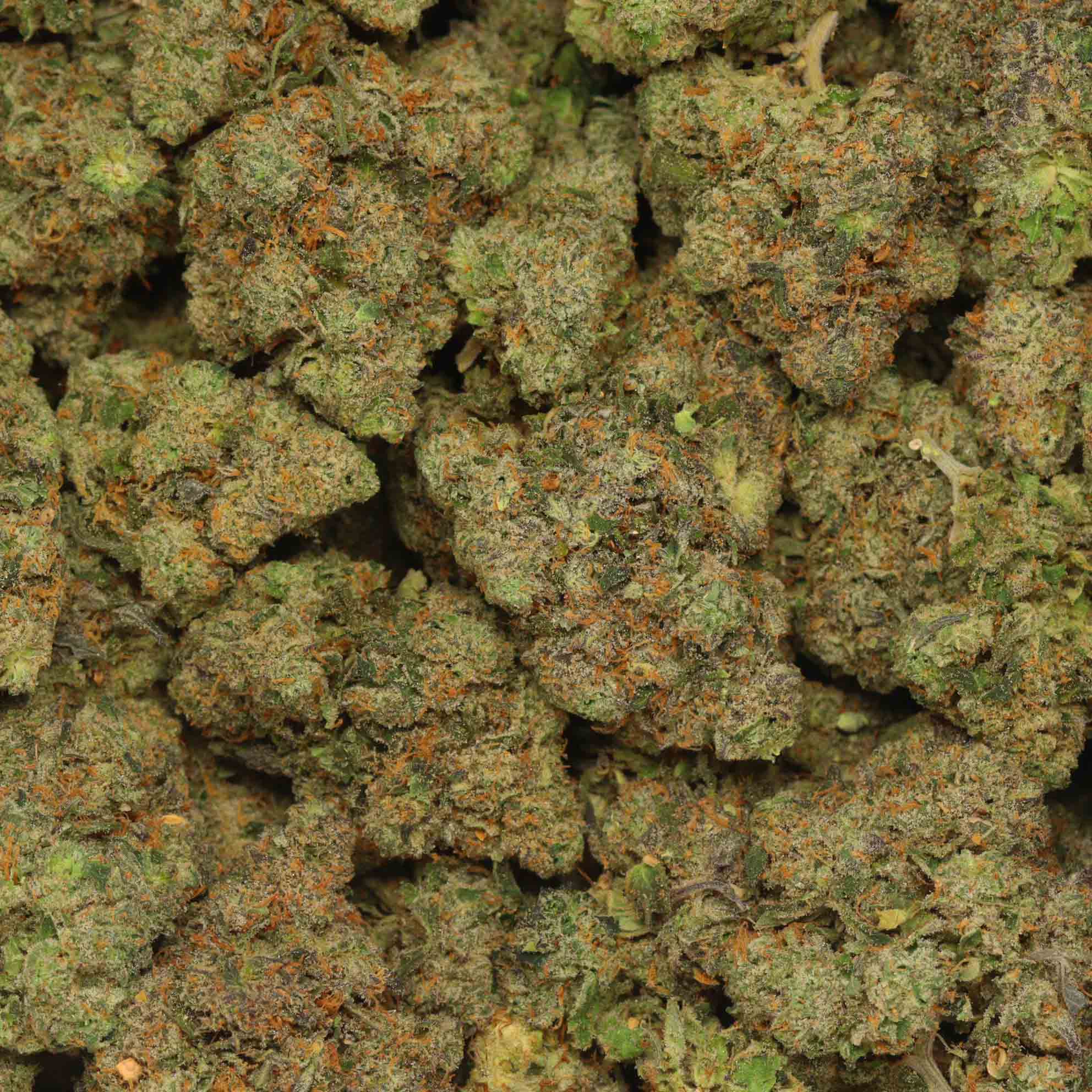 Fish Scales Craft Strain Indica Weed Canada Bulk Buddy Online