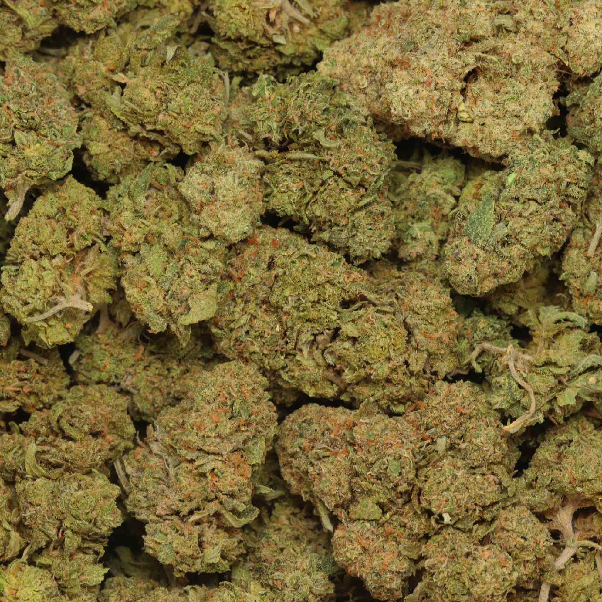 Peanut Butter Runtz Strain Bulk Buddy Dispensary Canada Buy Weed Online