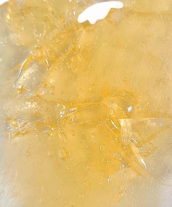 Garanimal Shatter wholesale