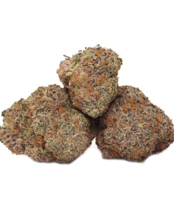 Purple Space Cookies AAAA+ strain