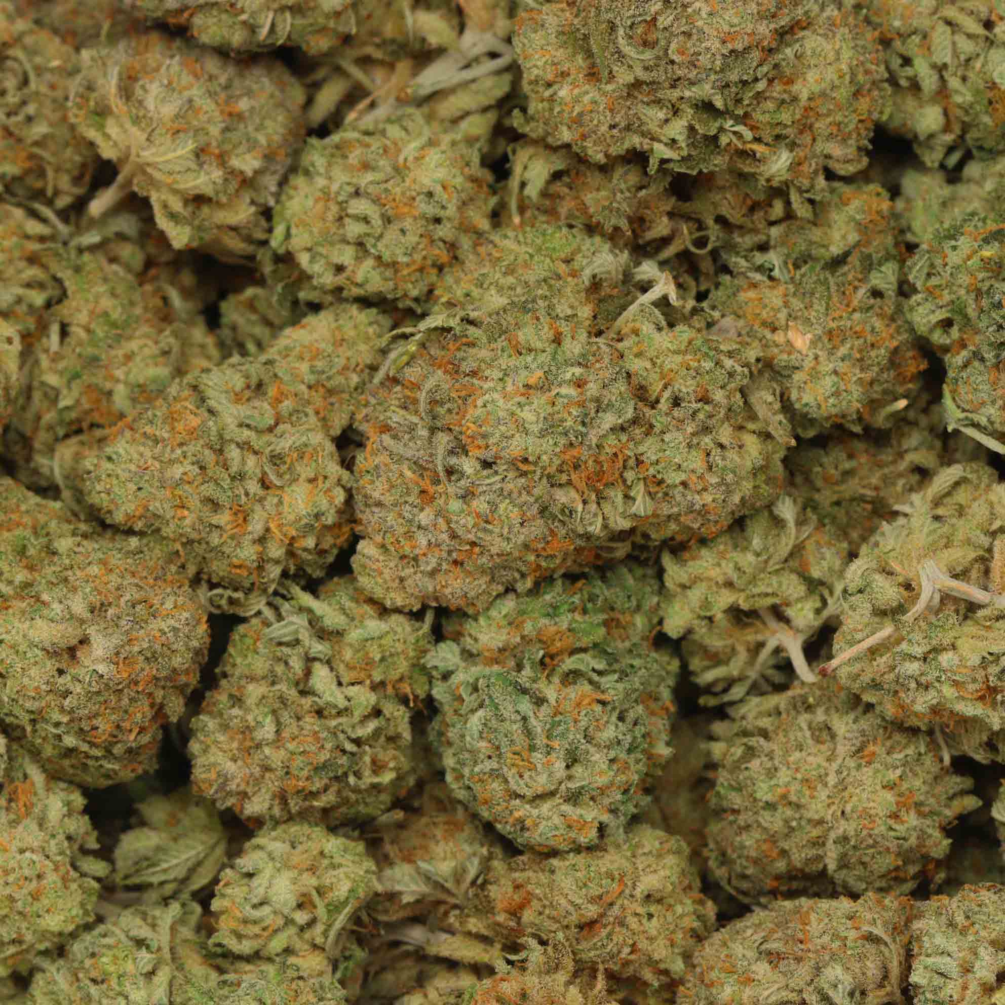 Buy Bubba Cali Kush Buy Weed At Bulk Buddy Online Dispensary Canada