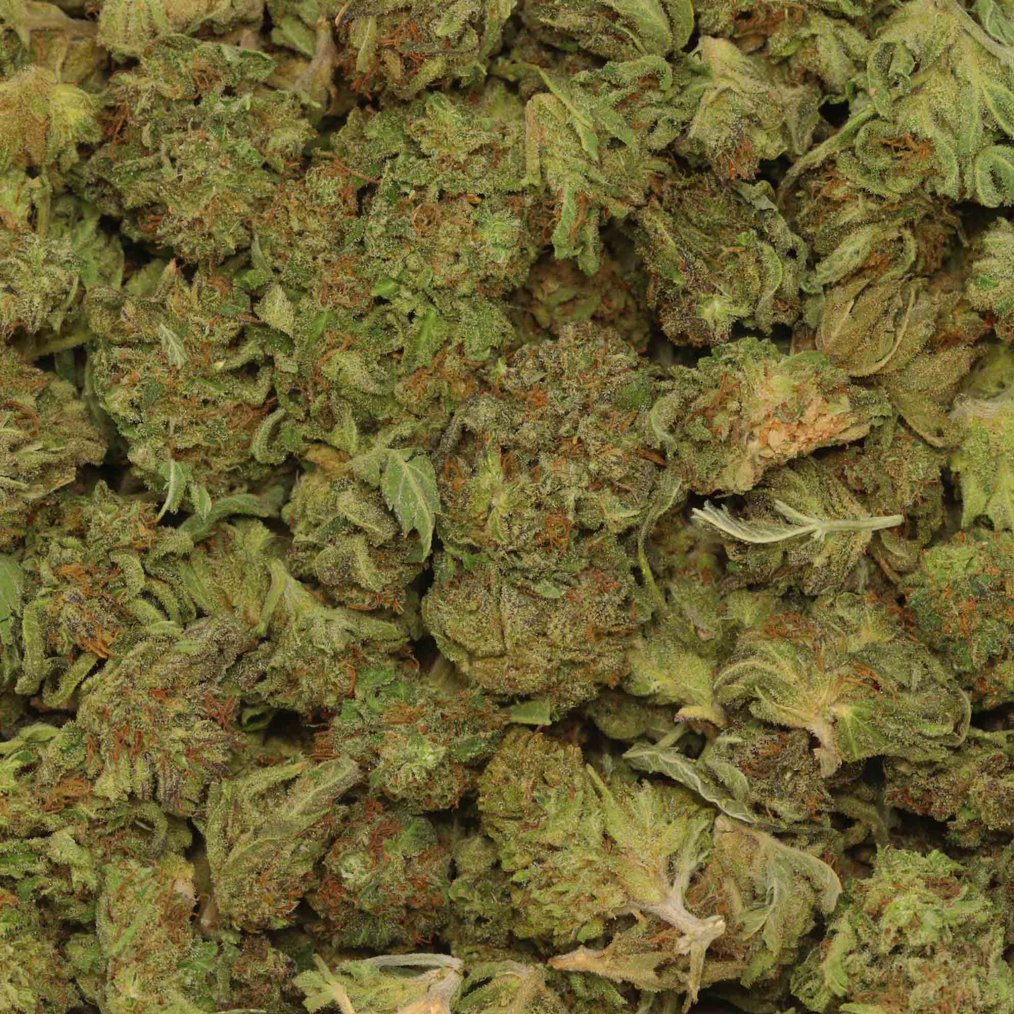 Romulan Grapefruit Buy Cannabis At Bulk Buddy Online Dispensary Canada