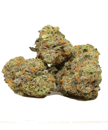 Grape Gasoline strain