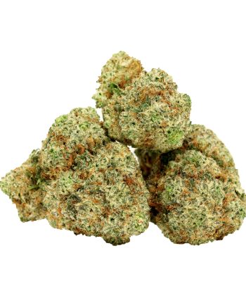 Girl scout cookies strain canada
