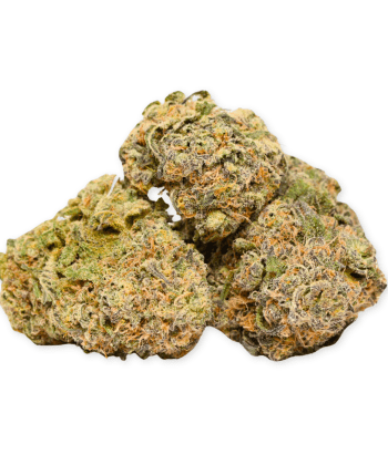 White Truffle Indica strain