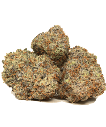 Mule Fuel AAAA+ Craft strain