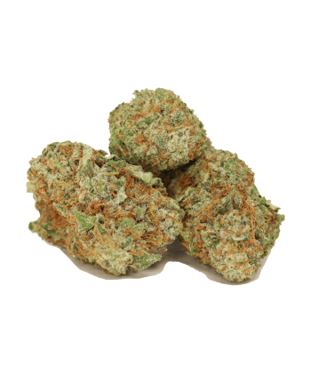 Romulan Indica strain