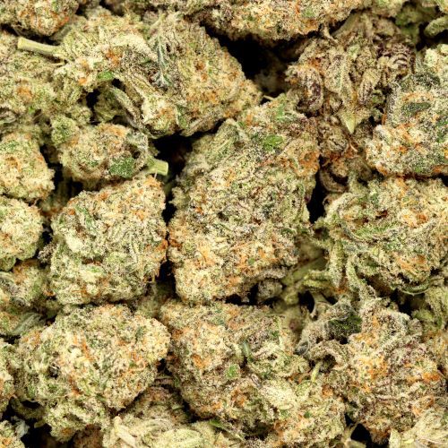 Mac 1 Hybrid Cannabis