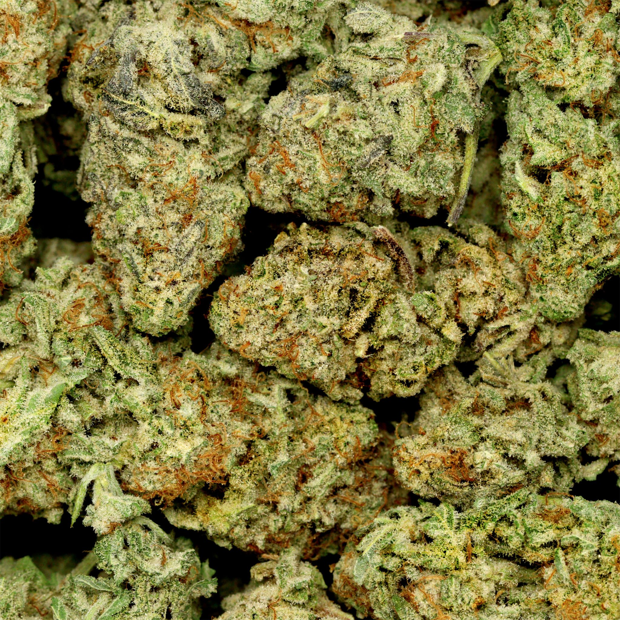 Mac N Jack Dispensary Canada Bulk Buddy Order Weed Online