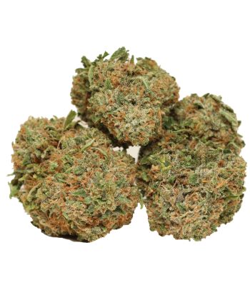 Pink banner craft strain