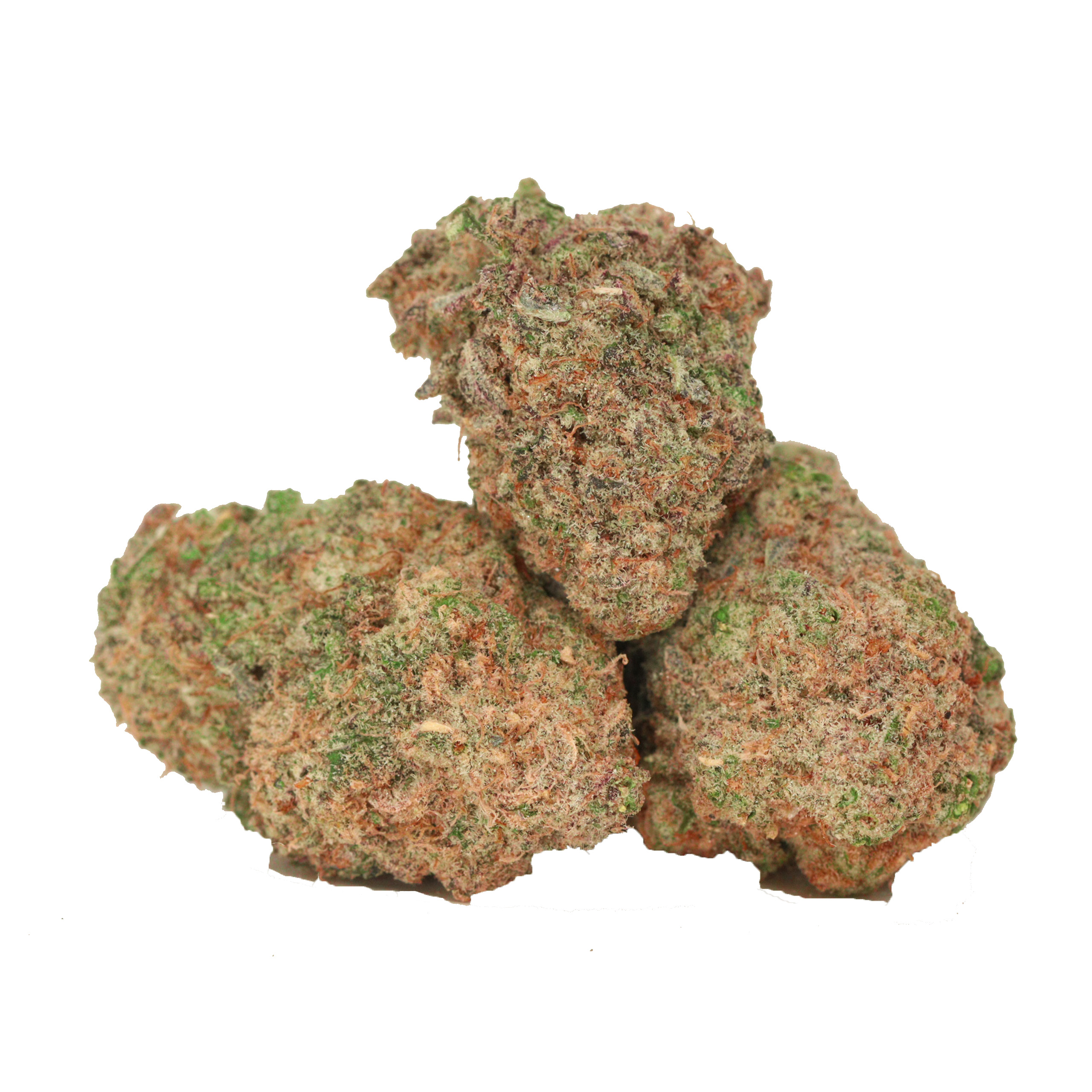 Return of the MAC strain canada